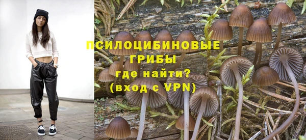 гидропоника Аркадак