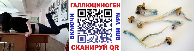 Псилоцибиновые грибы Psilocybine cubensis Фокино